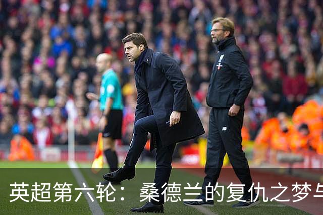 英超第六轮：桑德兰的复仇之梦与布莱顿的胜利狂欢